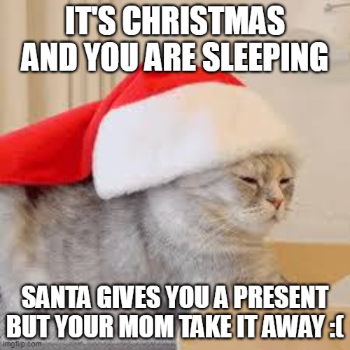 Bad Christmas D: | IT'S CHRISTMAS AND YOU ARE SLEEPING; SANTA GIVES YOU A PRESENT BUT YOUR MOM TAKE IT AWAY :( | image tagged in cat | made w/ Imgflip meme maker