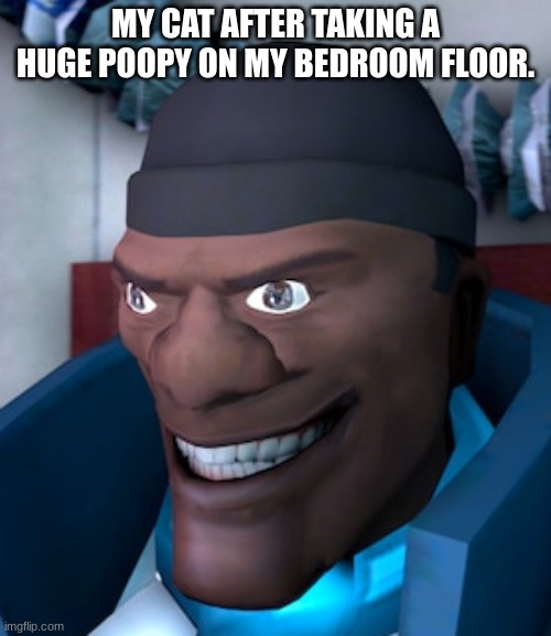 Jasper | MY CAT AFTER TAKING A HUGE POOPY ON MY BEDROOM FLOOR. | image tagged in tf2,team fortress 2 | made w/ Imgflip meme maker