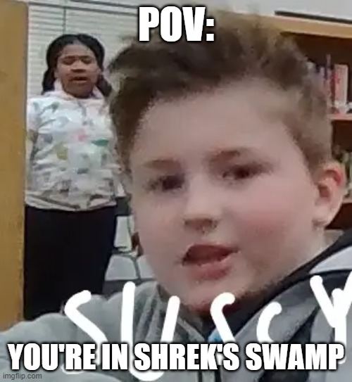 shrek meme | POV:; YOU'RE IN SHREK'S SWAMP | image tagged in shrek | made w/ Imgflip meme maker