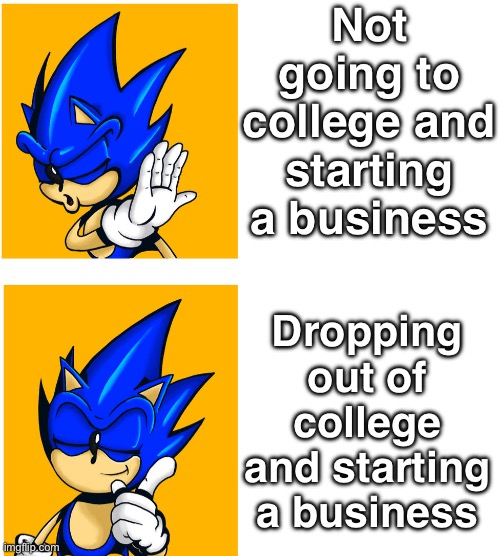 Not going to college and starting a business; Dropping out of college and starting a business | image tagged in sonic,sonic the hedgehog | made w/ Imgflip meme maker