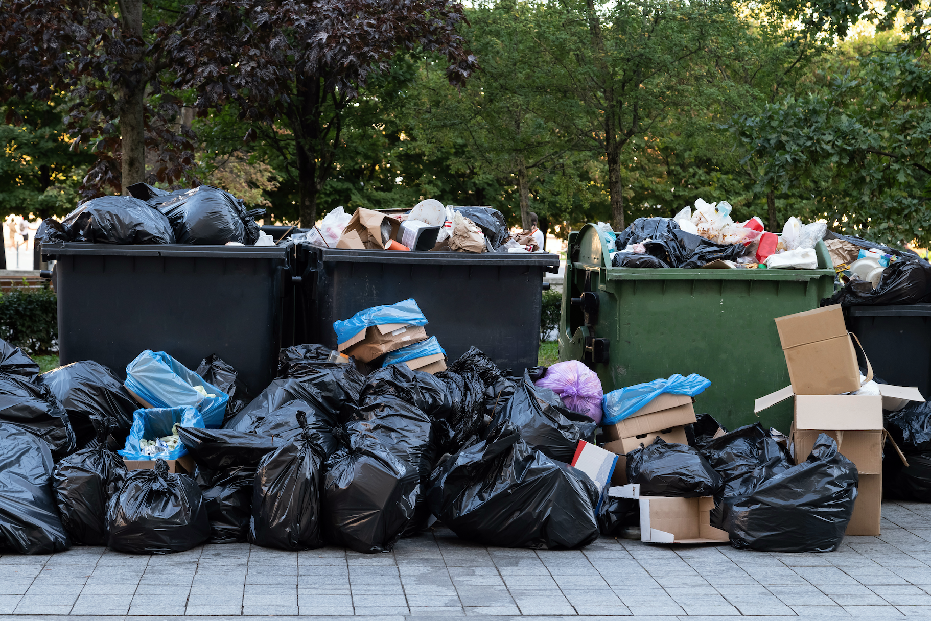 Trash Blank Meme Template