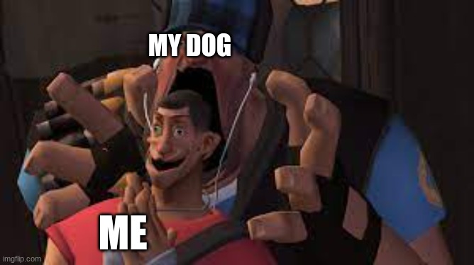 MY DOG; ME | image tagged in yay,tf2,team fortress 2 | made w/ Imgflip meme maker