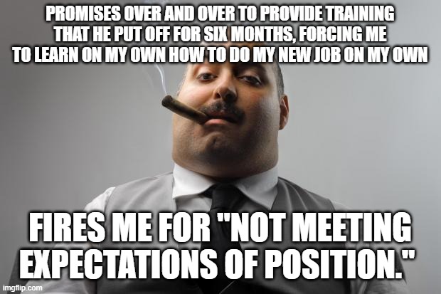 Scumbag Boss | PROMISES OVER AND OVER TO PROVIDE TRAINING THAT HE PUT OFF FOR SIX MONTHS, FORCING ME TO LEARN ON MY OWN HOW TO DO MY NEW JOB ON MY OWN; FIRES ME FOR "NOT MEETING EXPECTATIONS OF POSITION." | image tagged in memes,scumbag boss,AdviceAnimals | made w/ Imgflip meme maker