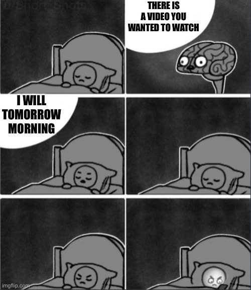 Happens a lot | THERE IS A VIDEO YOU WANTED TO WATCH; I WILL TOMORROW MORNING | image tagged in brain sleep phone | made w/ Imgflip meme maker