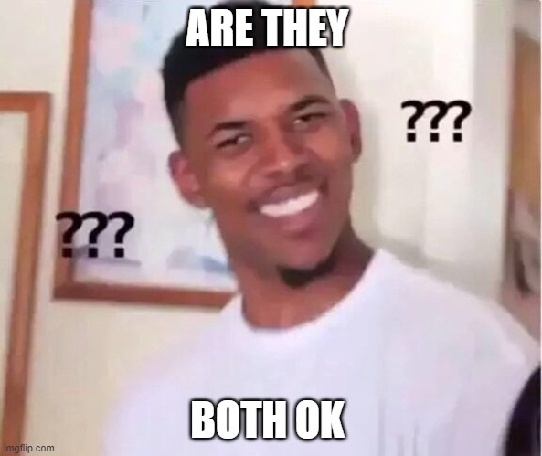Nibba wut? | ARE THEY; BOTH OK | image tagged in nibba wut | made w/ Imgflip meme maker