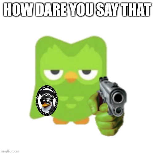 Duolingo | HOW DARE YOU SAY THAT | image tagged in duolingo | made w/ Imgflip meme maker