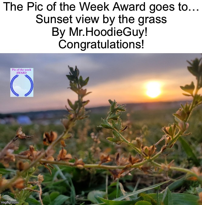 Sunset view by the grass by @Mr.HoodieGuy https://imgflip.com/i/7lqi21 | The Pic of the Week Award goes to…
Sunset view by the grass
By Mr.HoodieGuy! 
Congratulations! | image tagged in share your own photos | made w/ Imgflip meme maker