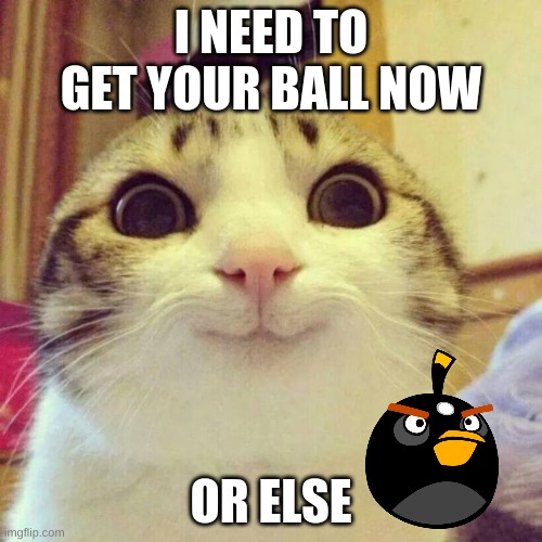 Smiling Cat | I NEED TO GET YOUR BALL NOW; OR ELSE | image tagged in memes,smiling cat | made w/ Imgflip meme maker