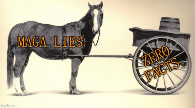 the cart before the horse | MAGA LIES ZERO FACTS | image tagged in the cart before the horse | made w/ Imgflip meme maker