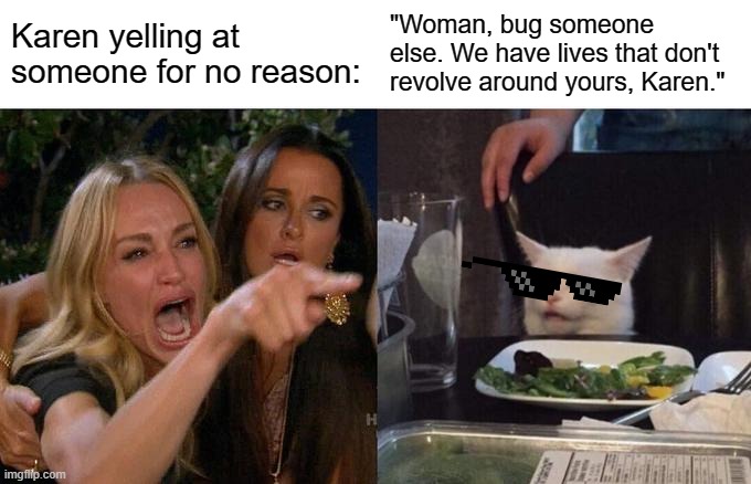 If you ever see a Karen in the wild, this is what you say. | Karen yelling at someone for no reason:; "Woman, bug someone else. We have lives that don't revolve around yours, Karen." | image tagged in memes,woman yelling at cat | made w/ Imgflip meme maker