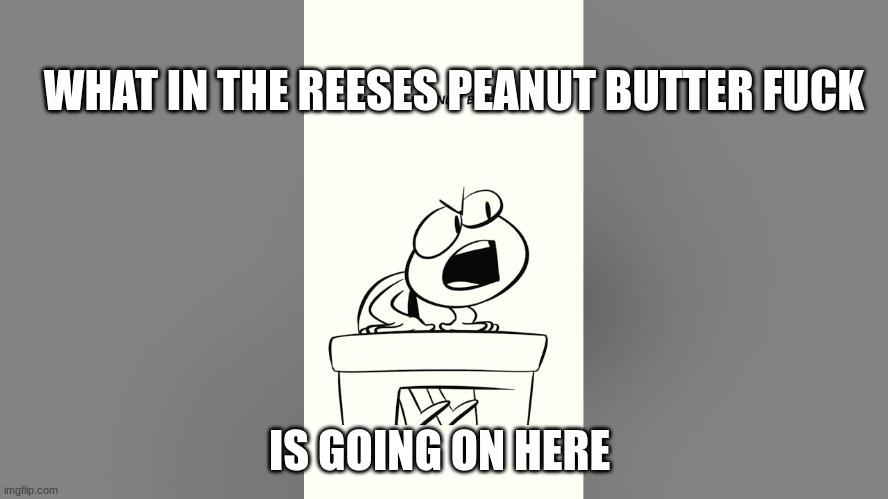 nutshell animations | WHAT IN THE REESES PEANUT BUTTER FUCK IS GOING ON HERE | image tagged in nutshell animations | made w/ Imgflip meme maker