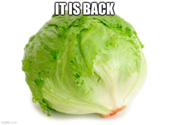 HEHEHEHe | IT IS BACK | image tagged in lettuce | made w/ Imgflip meme maker