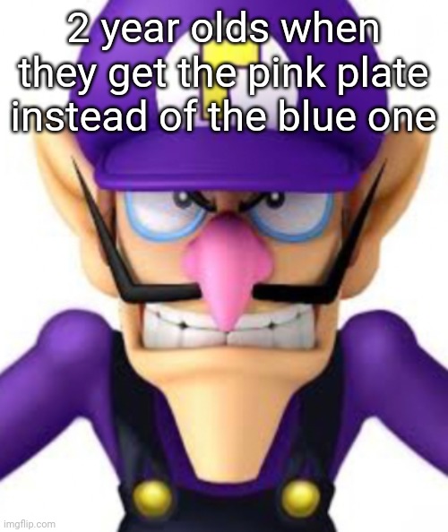 2 year olds when they get the pink plate instead of the blue one | image tagged in waluigi facing front | made w/ Imgflip meme maker