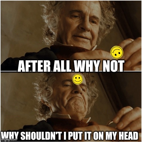 WE ALL DID THIS | AFTER ALL WHY NOT; WHY SHOULDN'T I PUT IT ON MY HEAD | image tagged in bilbo - why shouldn t i keep it | made w/ Imgflip meme maker
