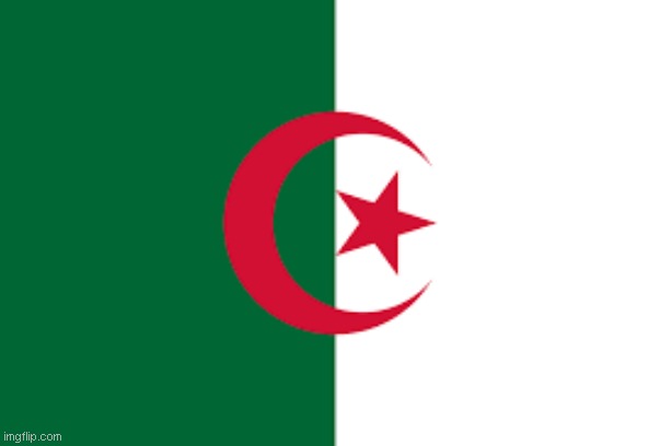 algeria flag | image tagged in algeria | made w/ Imgflip meme maker