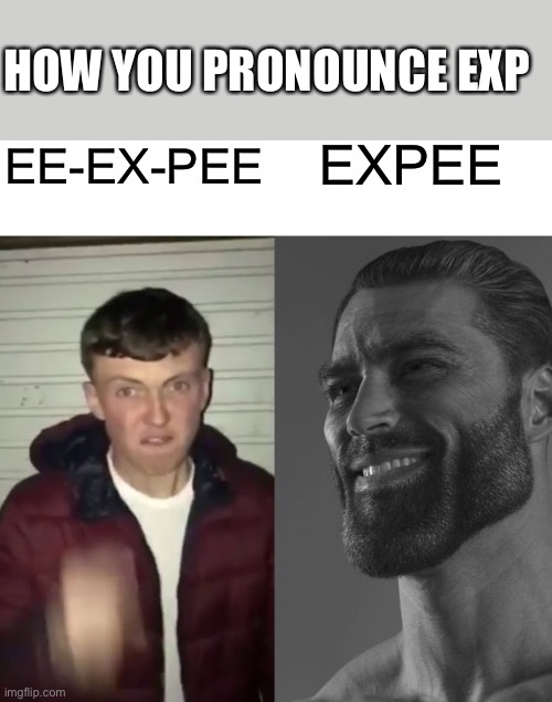 Ew you say EE-EX-PEE? | HOW YOU PRONOUNCE EXP; EXPEE; EE-EX-PEE | image tagged in average fan vs average enjoyer | made w/ Imgflip meme maker