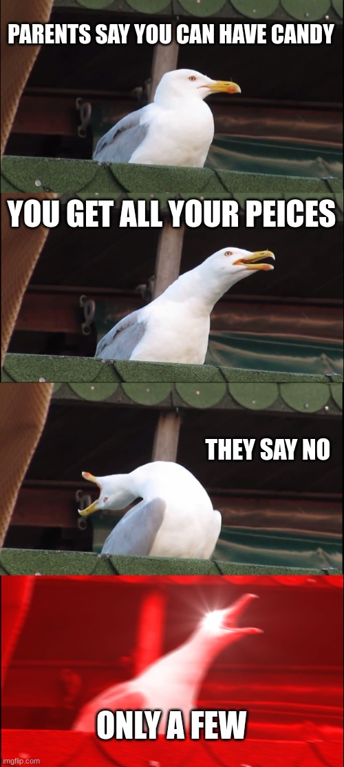 Inhaling Seagull | PARENTS SAY YOU CAN HAVE CANDY; YOU GET ALL YOUR PEICES; THEY SAY NO; ONLY A FEW | image tagged in memes,inhaling seagull | made w/ Imgflip meme maker