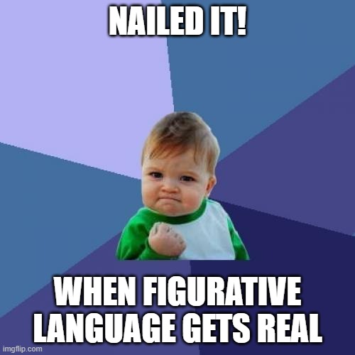 Nailed it | NAILED IT! WHEN FIGURATIVE LANGUAGE GETS REAL | image tagged in memes,success kid | made w/ Imgflip meme maker