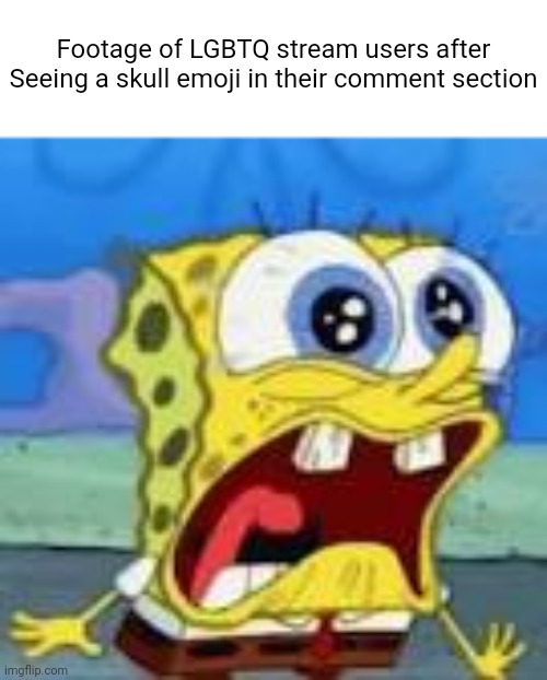 Footage of LGBTQ stream users after
Seeing a skull emoji in their comment section | image tagged in no tags | made w/ Imgflip meme maker