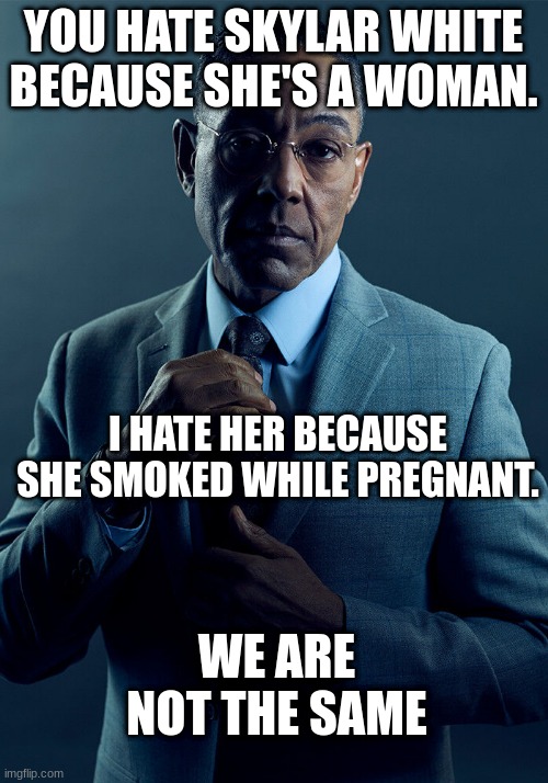 Skylar white moment | YOU HATE SKYLAR WHITE BECAUSE SHE'S A WOMAN. I HATE HER BECAUSE SHE SMOKED WHILE PREGNANT. WE ARE NOT THE SAME | image tagged in gus fring we are not the same | made w/ Imgflip meme maker