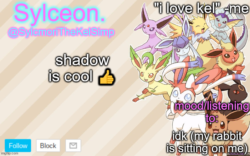 ejvdfvbffhv | shadow is cool 👍; idk (my rabbit is sitting on me) | image tagged in ejvdfvbffhv | made w/ Imgflip meme maker