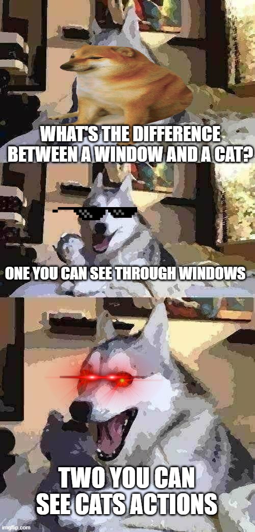 Bad Pun Dog | WHAT'S THE DIFFERENCE BETWEEN A WINDOW AND A CAT? ONE YOU CAN SEE THROUGH WINDOWS; TWO YOU CAN SEE CATS ACTIONS | image tagged in memes,bad pun dog | made w/ Imgflip meme maker