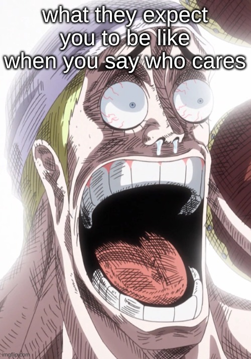 One Piece Enel Shocked | what they expect you to be like when you say who cares | image tagged in one piece enel shocked | made w/ Imgflip meme maker