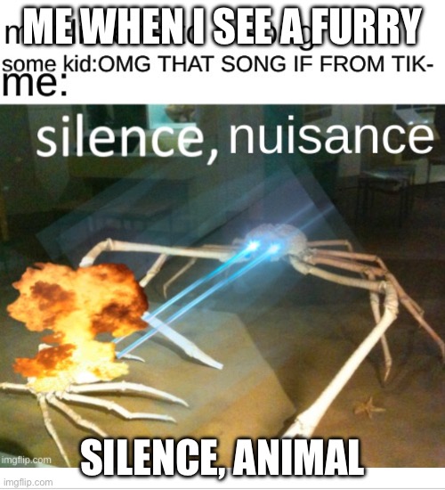 ME WHEN I SEE A FURRY; SILENCE, ANIMAL | made w/ Imgflip meme maker