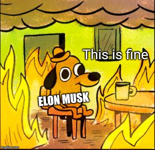 This is fine | ELON MUSK This is fine | image tagged in this is fine | made w/ Imgflip meme maker