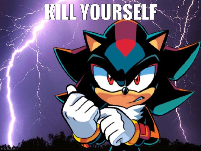 shadow kys | image tagged in shadow kys | made w/ Imgflip meme maker