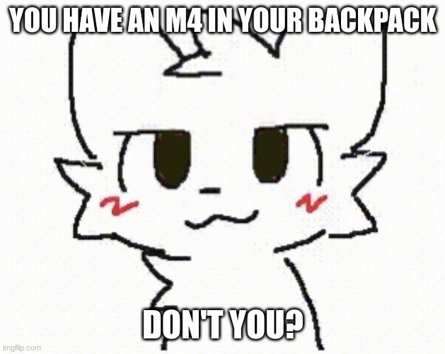 you like kissing boys | YOU HAVE AN M4 IN YOUR BACKPACK DON'T YOU? | image tagged in you like kissing boys | made w/ Imgflip meme maker