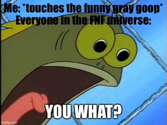 You what?! | Me: *touches the funny gray goop*
Everyone in the FNF universe:; YOU WHAT? | image tagged in you what | made w/ Imgflip meme maker