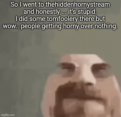 Half of it is AI shit. | So I went to thehiddenhornystream and honestly ... it's stupid. I did some tomfoolery there but wow...people getting horny over nothing. | image tagged in heisenburger | made w/ Imgflip meme maker