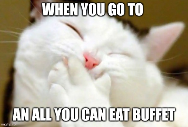 buffet | WHEN YOU GO TO; AN ALL YOU CAN EAT BUFFET | image tagged in memes,cats | made w/ Imgflip meme maker