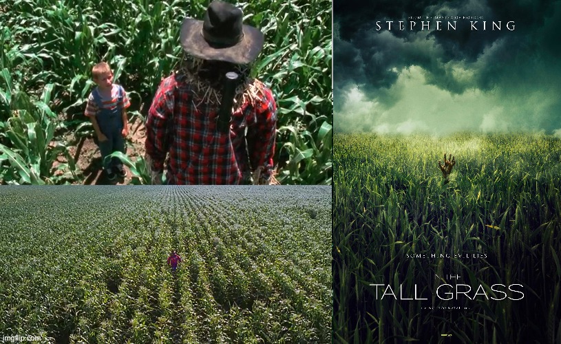 Tall grass in Malcolm in the Middle | image tagged in malcolm,stephen king,tall grass,joke,comparison | made w/ Imgflip meme maker