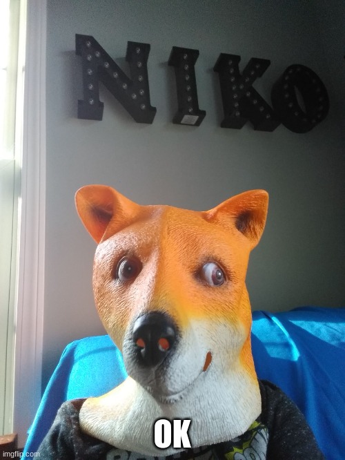 I got I Doge mask for my cousin (applelucas)'s Christmas present | OK | image tagged in i got i doge mask for my cousin applelucas 's christmas present | made w/ Imgflip meme maker