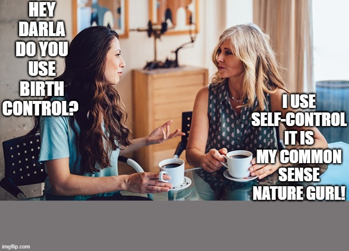 The Vulva Moral Property of Women | HEY DARLA DO YOU USE BIRTH CONTROL? I USE SELF-CONTROL IT IS MY COMMON SENSE NATURE GURL! | image tagged in women talking,birth control,motherhood,abortion is murder,women be trippin',sin | made w/ Imgflip meme maker