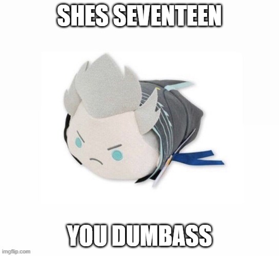 vergil plush | SHES SEVENTEEN YOU DUMBASS | image tagged in vergil plush | made w/ Imgflip meme maker
