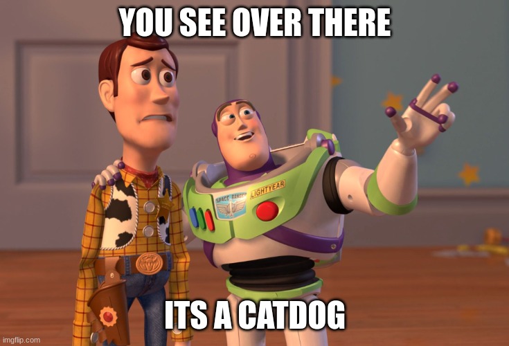 dogcat | YOU SEE OVER THERE; ITS A CATDOG | image tagged in memes,toy story | made w/ Imgflip meme maker