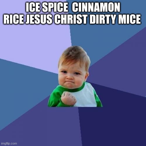 Success Kid | ICE SPICE  CINNAMON RICE JESUS CHRIST DIRTY MICE | image tagged in memes,success kid | made w/ Imgflip meme maker