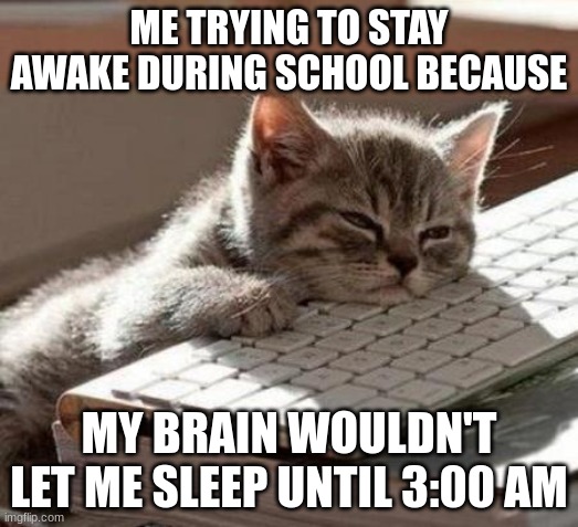 The one time i don't want to stay up late | ME TRYING TO STAY AWAKE DURING SCHOOL BECAUSE; MY BRAIN WOULDN'T LET ME SLEEP UNTIL 3:00 AM | image tagged in tired cat | made w/ Imgflip meme maker