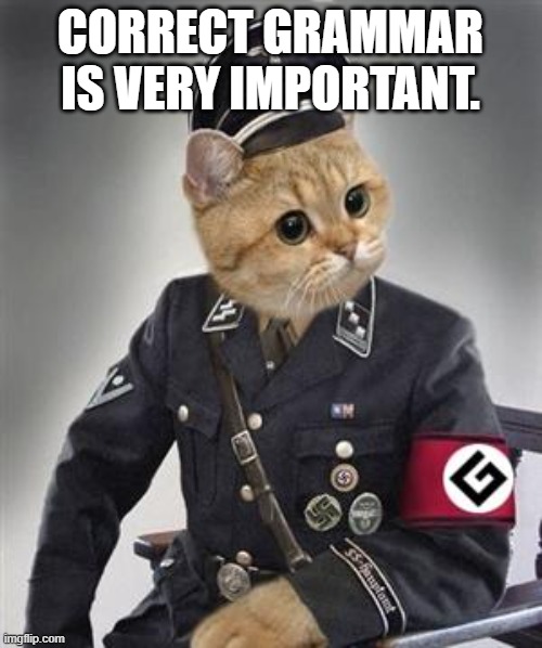 Grammar Nazi Cat | CORRECT GRAMMAR IS VERY IMPORTANT. | image tagged in grammar nazi cat | made w/ Imgflip meme maker
