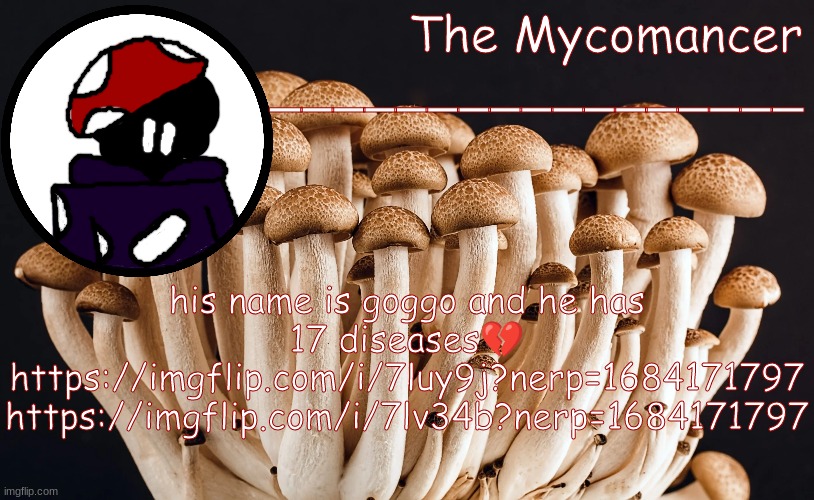 bt4wevf | his name is goggo and he has 17 diseases💔
https://imgflip.com/i/7luy9j?nerp=1684171797 https://imgflip.com/i/7lv34b?nerp=1684171797 | made w/ Imgflip meme maker