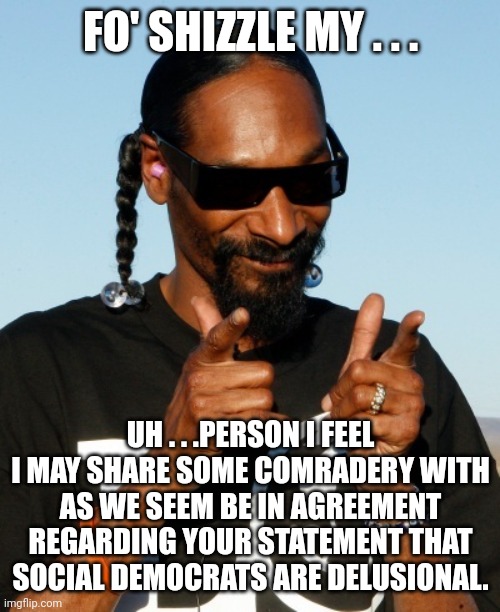 Snoop Dogg approves | FO' SHIZZLE MY . . . UH . . .PERSON I FEEL I MAY SHARE SOME COMRADERY WITH AS WE SEEM BE IN AGREEMENT REGARDING YOUR STATEMENT THAT SOCIAL D | image tagged in snoop dogg approves | made w/ Imgflip meme maker