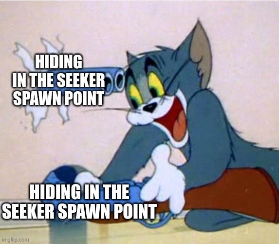 small brain | HIDING IN THE SEEKER SPAWN POINT; HIDING IN THE SEEKER SPAWN POINT | image tagged in tom shotgun | made w/ Imgflip meme maker