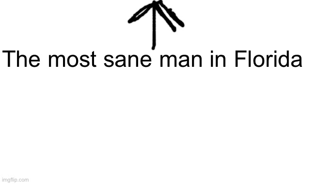 Blank | The most sane man in Florida | image tagged in blank | made w/ Imgflip meme maker