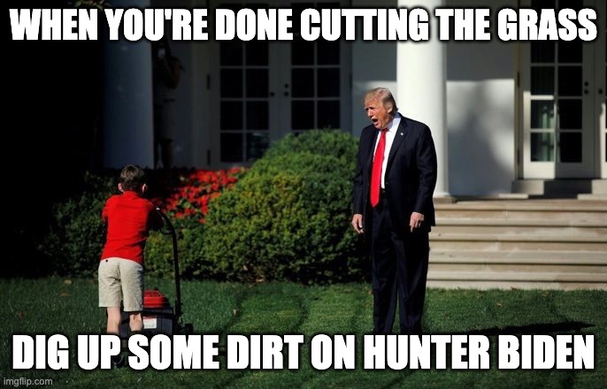 Trump Lawn Mower | WHEN YOU'RE DONE CUTTING THE GRASS; DIG UP SOME DIRT ON HUNTER BIDEN | image tagged in trump lawn mower | made w/ Imgflip meme maker