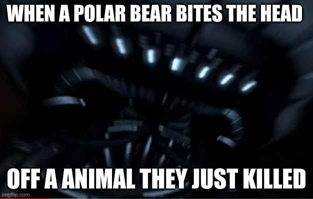 A Yes Polar Bear bites. | WHEN A POLAR BEAR BITES THE HEAD; OFF A ANIMAL THEY JUST KILLED | image tagged in fnaf,animals | made w/ Imgflip meme maker