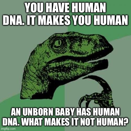 A question for liberals | YOU HAVE HUMAN DNA. IT MAKES YOU HUMAN; AN UNBORN BABY HAS HUMAN DNA. WHAT MAKES IT NOT HUMAN? | image tagged in memes,philosoraptor | made w/ Imgflip meme maker