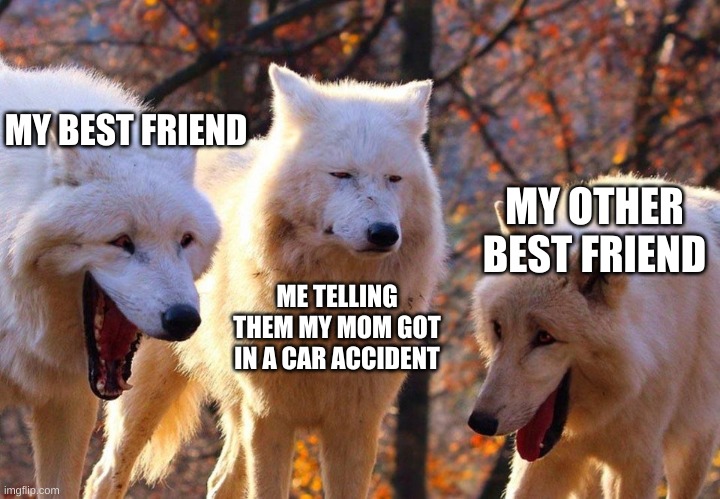 2/3 wolves laugh | MY BEST FRIEND; MY OTHER BEST FRIEND; ME TELLING THEM MY MOM GOT IN A CAR ACCIDENT | image tagged in 2/3 wolves laugh | made w/ Imgflip meme maker